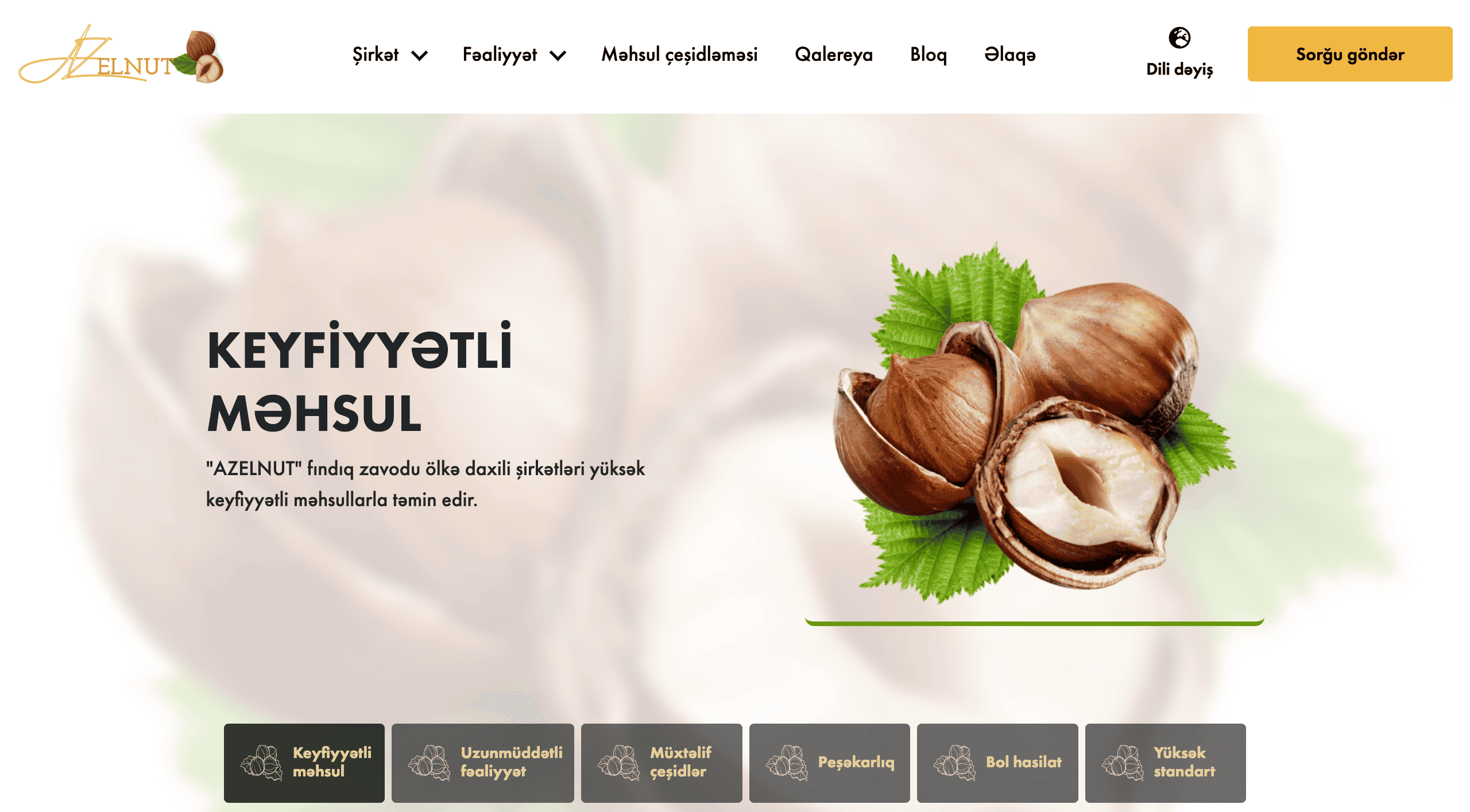 Azelnut-vebsite-sekili